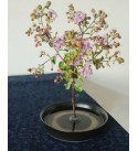 Ikebana Kenzan 3.4 cm