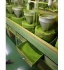 Matcha Starters Kit 'Ki