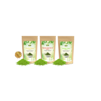 Matcha Summer Pack