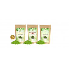 Matcha Summer Pack